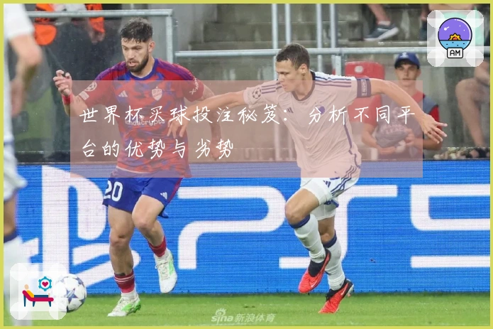 世界杯买球投注秘笈：分析不同平台的优势与劣势