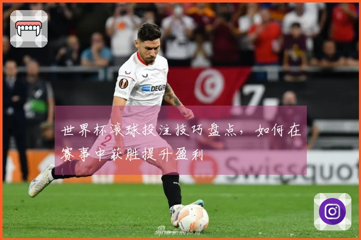世界杯滚球投注技巧盘点，如何在赛事中获胜提升盈利
