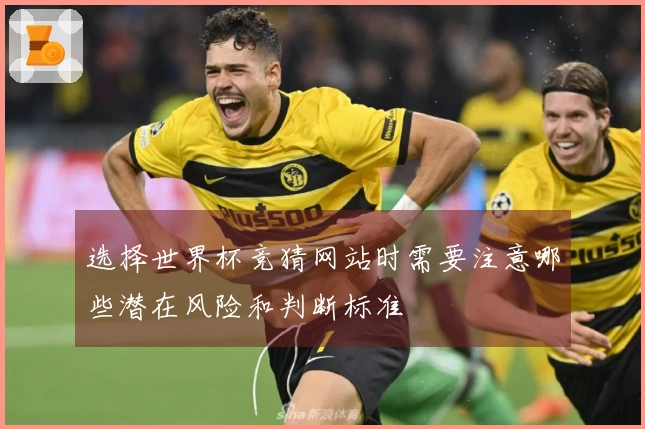 选择世界杯竞猜网站时需要注意哪些潜在风险和判断标准