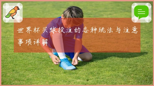 世界杯买球投注的各种玩法与注意事项详解
