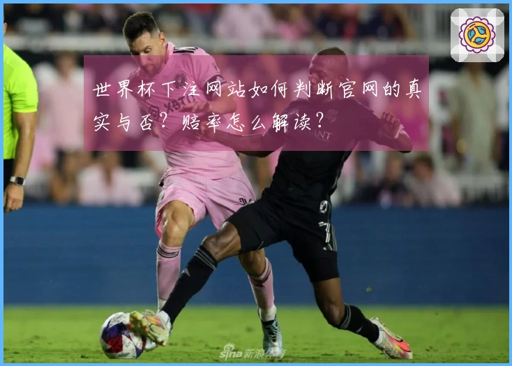 世界杯下注网站如何判断官网的真实与否？赔率怎么解读？
