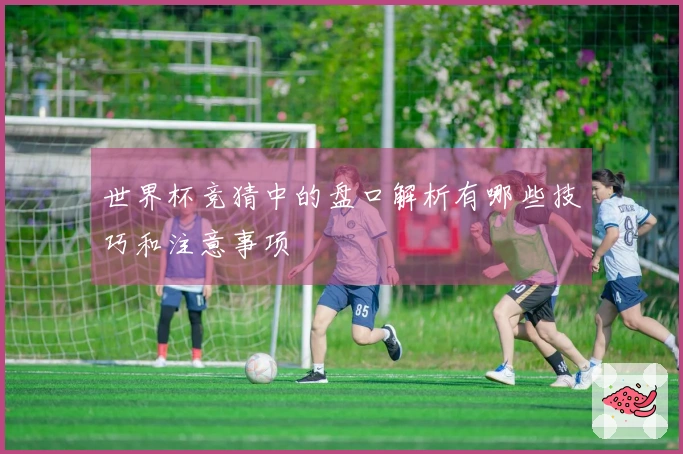世界杯竞猜中的盘口解析有哪些技巧和注意事项