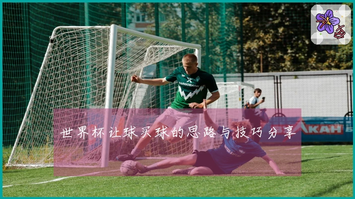 世界杯让球买球的思路与技巧分享