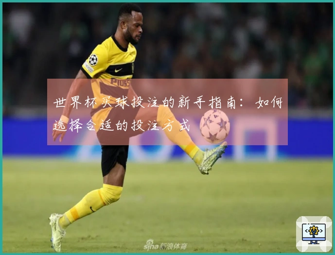 世界杯买球投注的新手指南：如何选择合适的投注方式