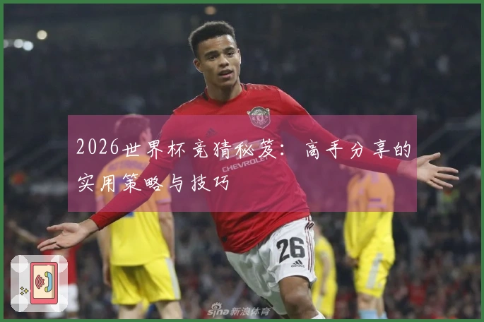 2026世界杯竞猜秘笈：高手分享的实用策略与技巧