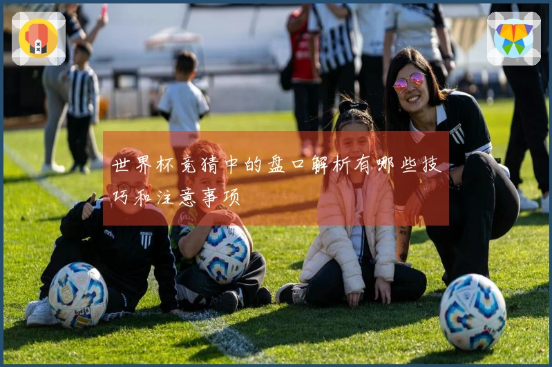 世界杯竞猜中的盘口解析有哪些技巧和注意事项