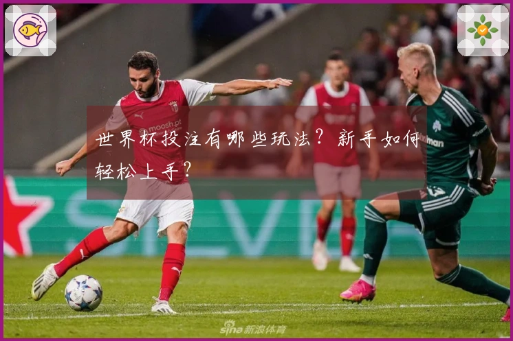 世界杯投注有哪些玩法？新手如何轻松上手？