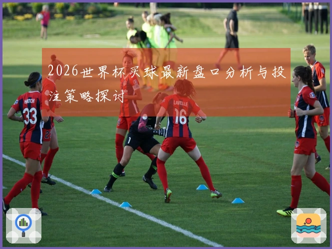 2026世界杯买球最新盘口分析与投注策略探讨