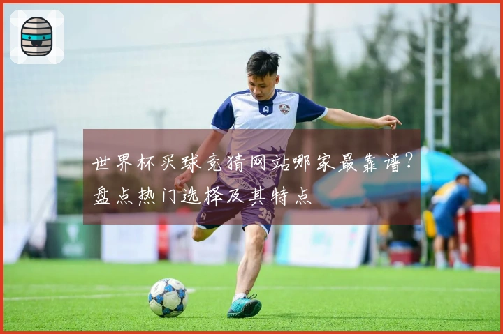 世界杯买球竞猜网站哪家最靠谱？盘点热门选择及其特点
