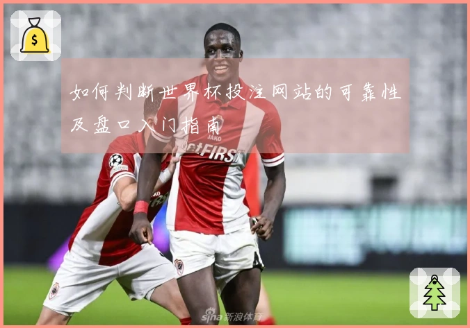 如何判断世界杯投注网站的可靠性及盘口入门指南