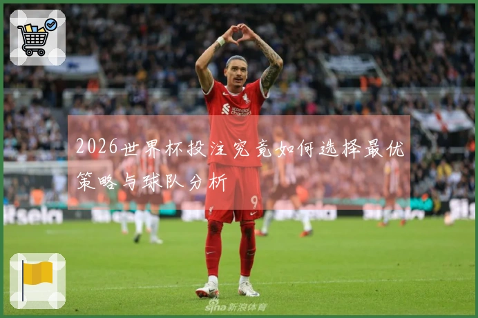 2026世界杯投注究竟如何选择最优策略与球队分析