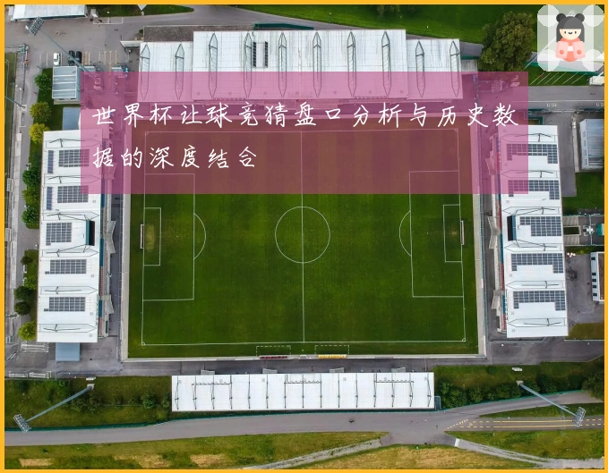 世界杯让球竞猜盘口分析与历史数据的深度结合