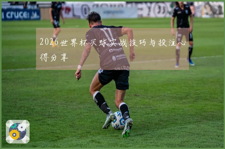 2026世界杯买球实战技巧与投注心得分享