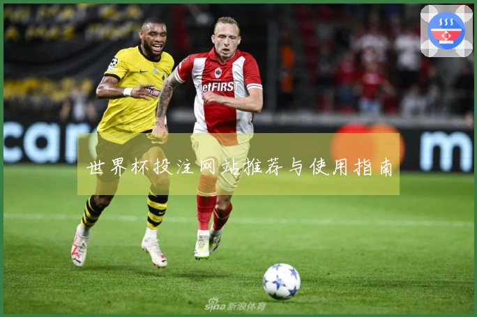 世界杯投注网站推荐与使用指南