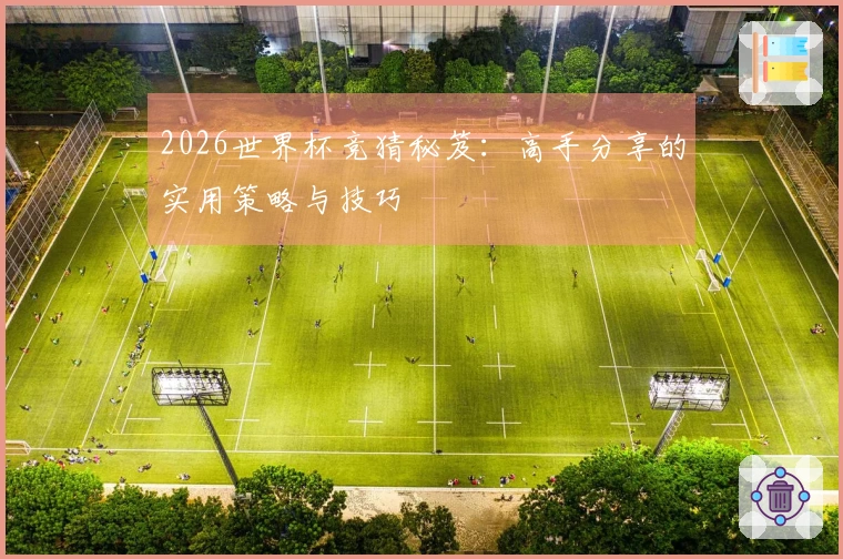 2026世界杯竞猜秘笈：高手分享的实用策略与技巧