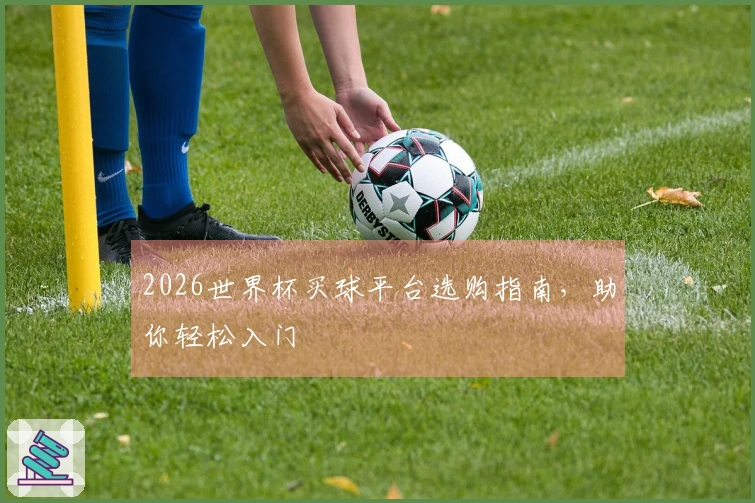2026世界杯买球平台选购指南，助你轻松入门