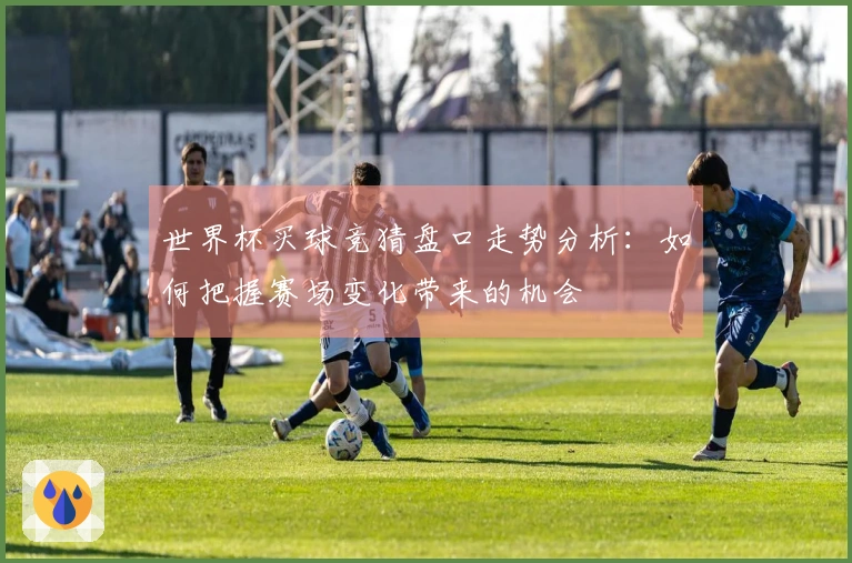 世界杯买球竞猜盘口走势分析：如何把握赛场变化带来的机会