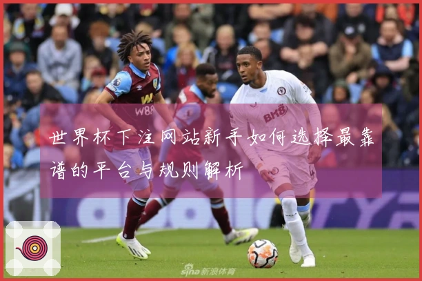 世界杯下注网站新手如何选择最靠谱的平台与规则解析