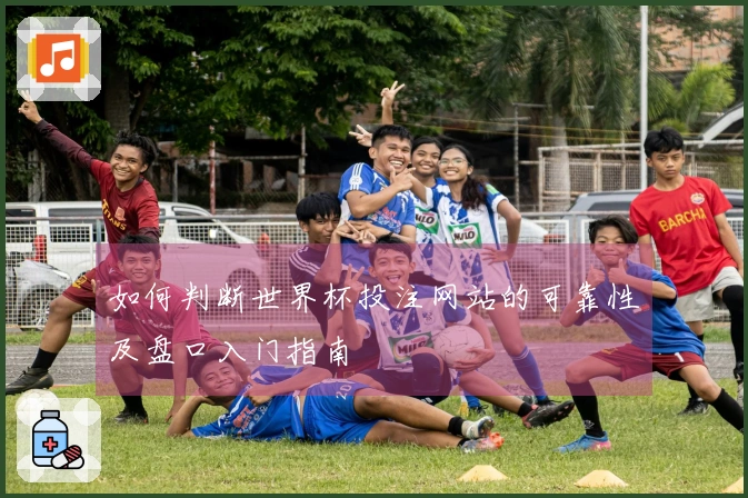 如何判断世界杯投注网站的可靠性及盘口入门指南
