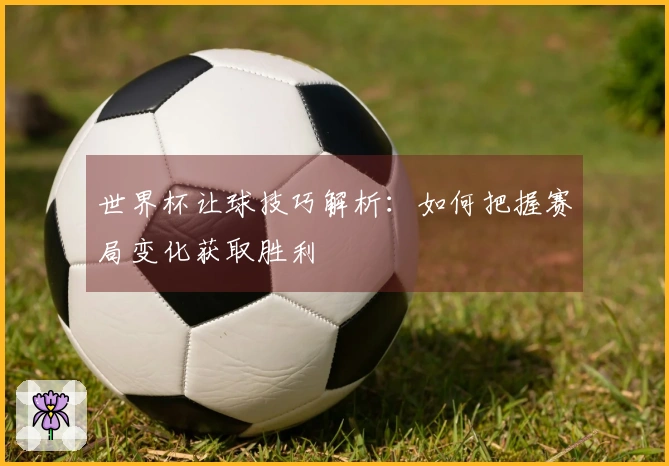 世界杯让球技巧解析：如何把握赛局变化获取胜利