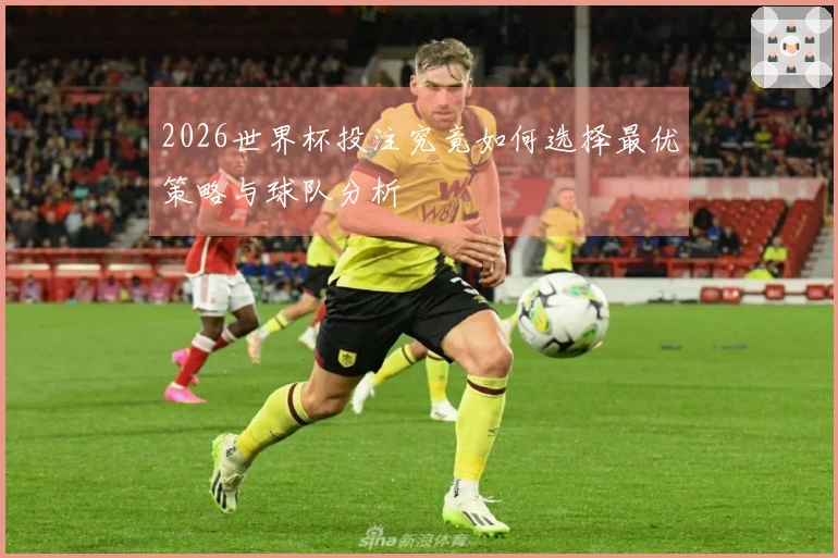 2026世界杯投注究竟如何选择最优策略与球队分析