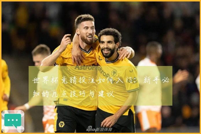 世界杯竞猜投注如何入门：新手必知的几点技巧与建议