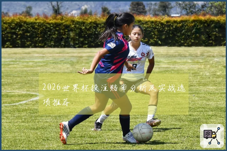 2026世界杯投注赔率分析及实战选项推荐
