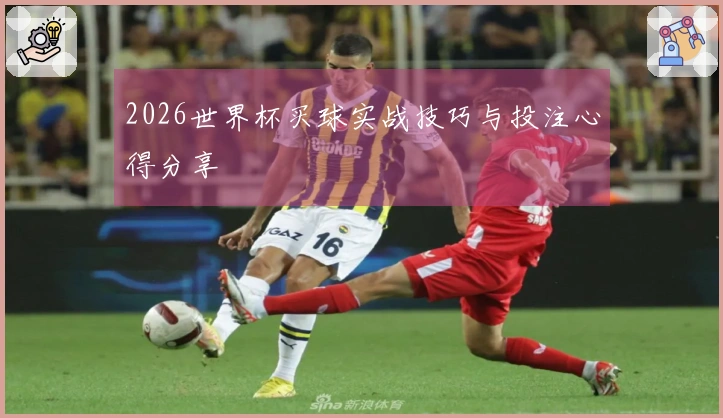 2026世界杯买球实战技巧与投注心得分享