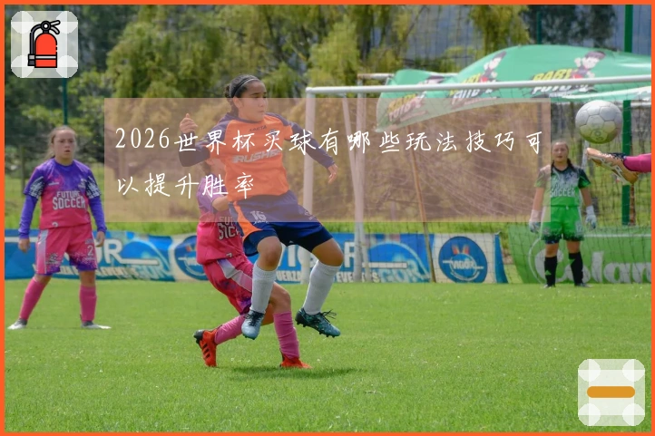 2026世界杯买球有哪些玩法技巧可以提升胜率