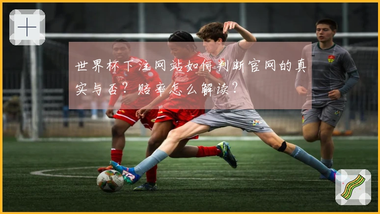 世界杯下注网站如何判断官网的真实与否？赔率怎么解读？