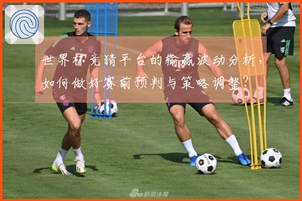 世界杯竞猜平台的输赢波动分析，如何做好赛前预判与策略调整？