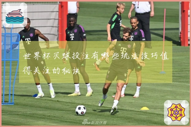 世界杯买球投注有哪些玩法技巧值得关注的秘诀