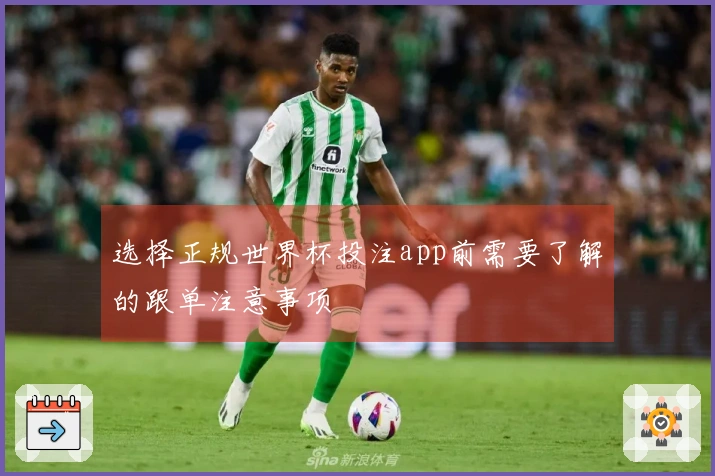 选择正规世界杯投注app前需要了解的跟单注意事项