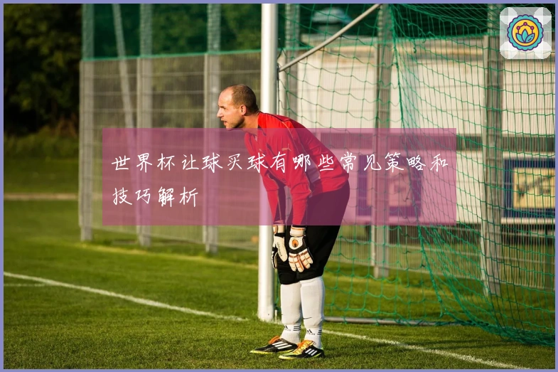 世界杯让球买球有哪些常见策略和技巧解析