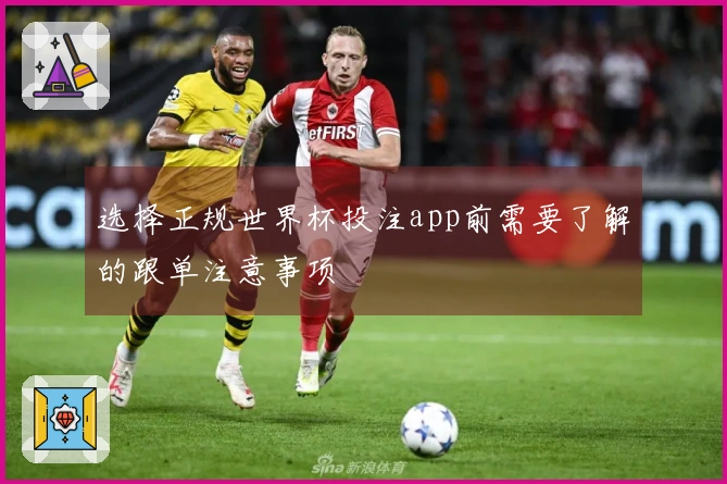 选择正规世界杯投注app前需要了解的跟单注意事项