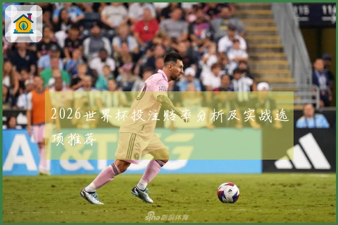 2026世界杯投注赔率分析及实战选项推荐