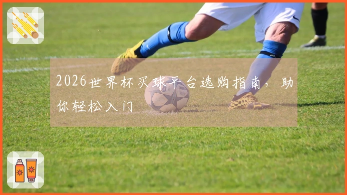 2026世界杯买球平台选购指南，助你轻松入门
